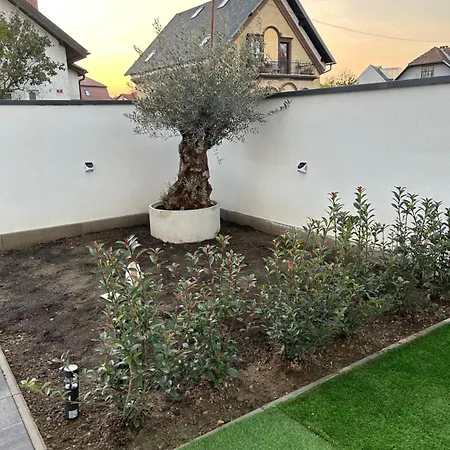 Casa Box Premium Free Garage Apartment *