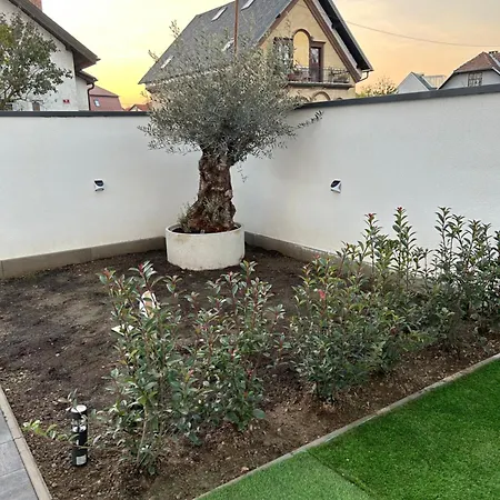 Casa Box Premium Free Garage Apartament *