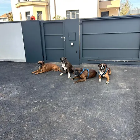 Casa Box Premium Free Garage