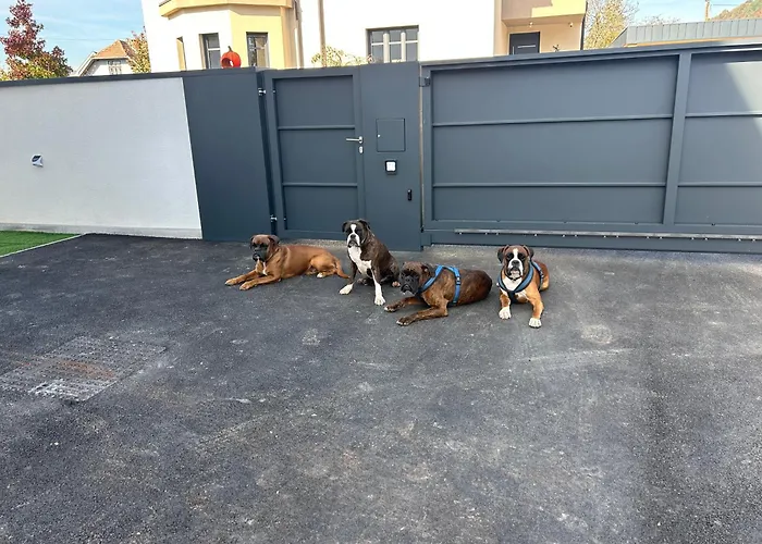 Casa Box Premium Free Garage